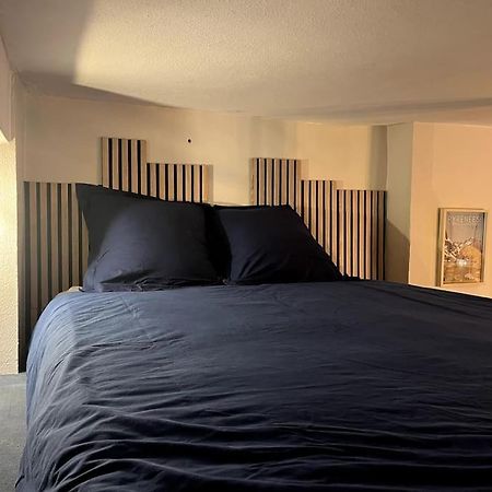 Montagn'Art Studio. 4Pers 30M2. Coeur Village. Cauterets Eksteriør bilde